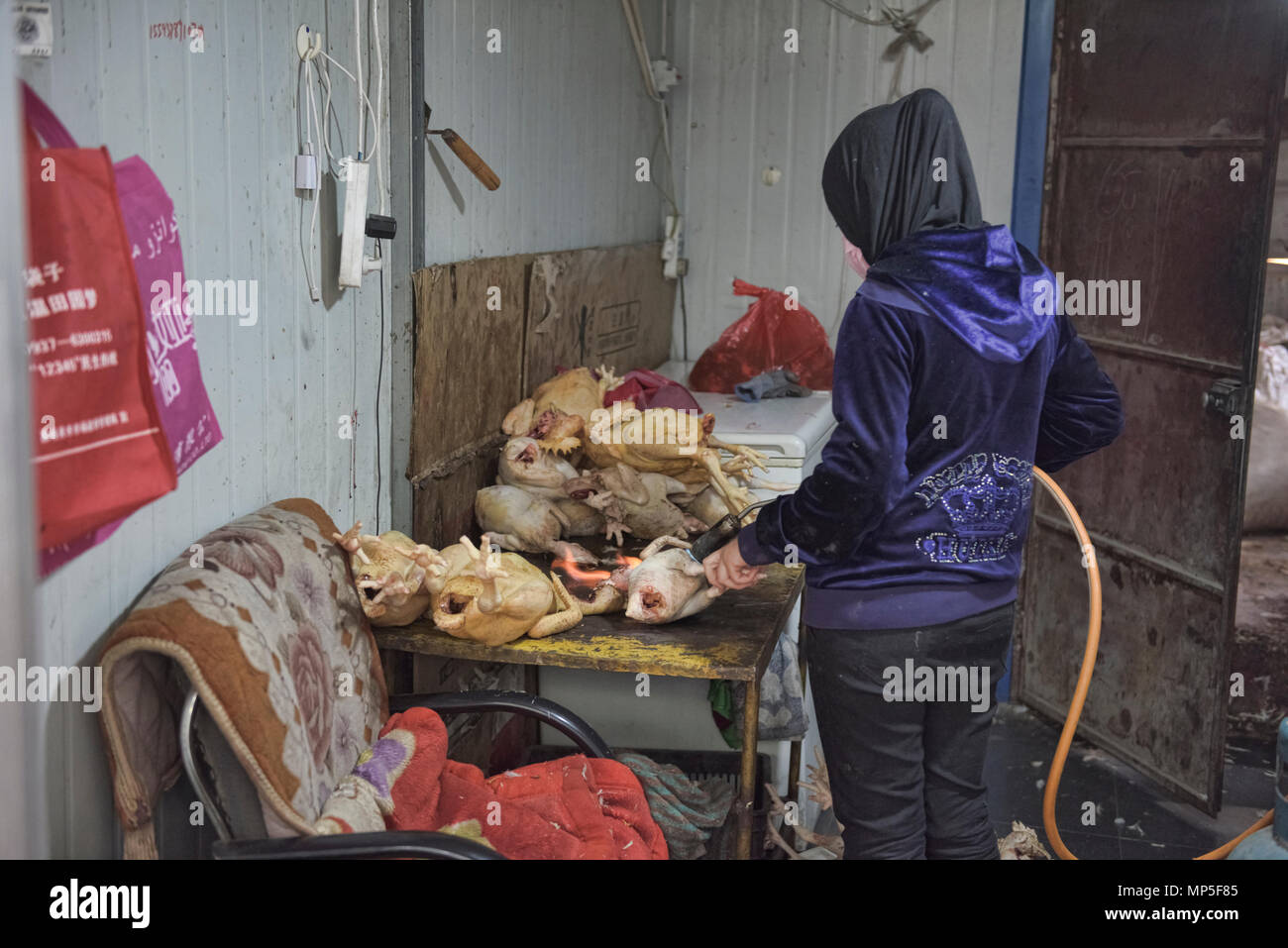Blowtorching un pollo en Jiayuguan, Gansu, China Foto de stock