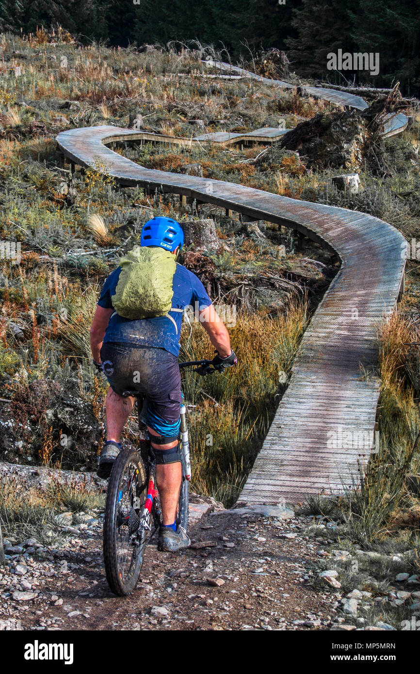Coed Llandegla mountain bike trail, Gales. Foto de stock