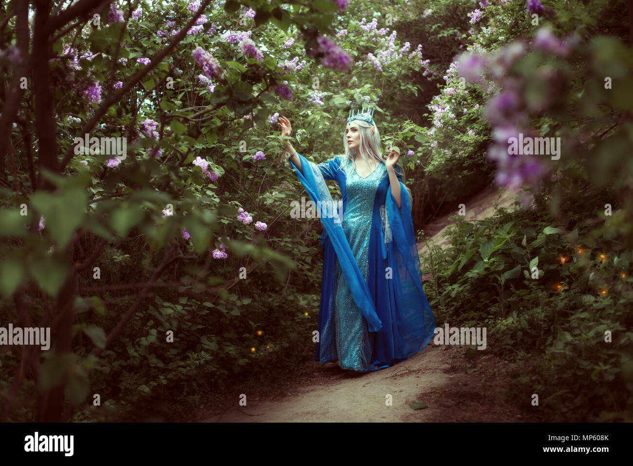 Elf woman fotografías e imágenes de alta resolución - Alamy