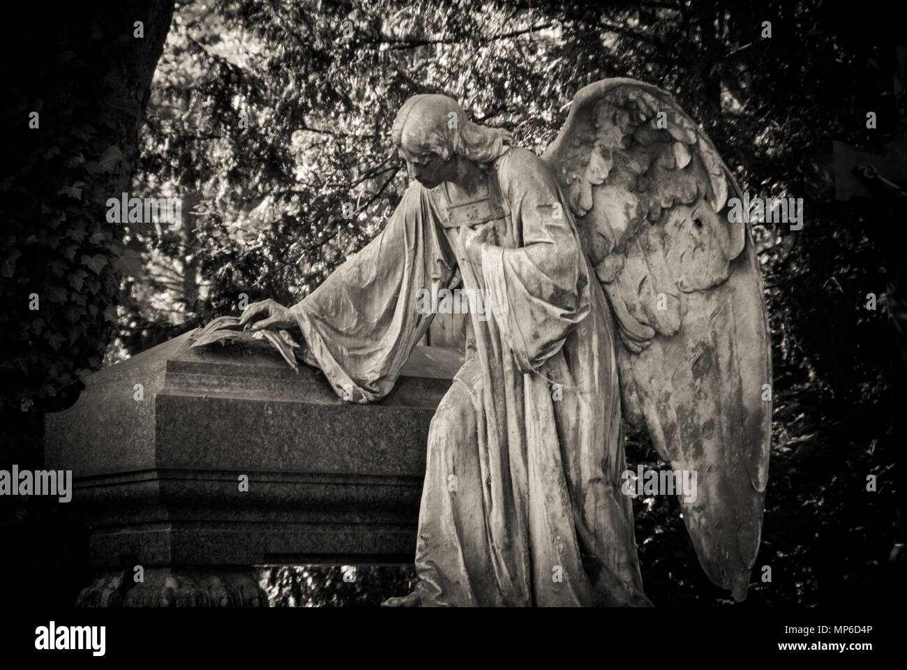 Angel figura de piedra en el cementerio de Melaten, en Colonia en un día de verano. Blanco y negro. La luz y la sombra. Foto de stock