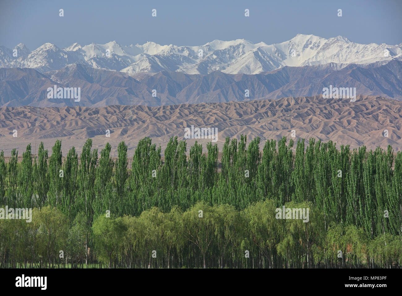 La ruta de la seda paisaje: montañas Qilian y desertscape, Jiayuguan, Gansu, China Foto de stock