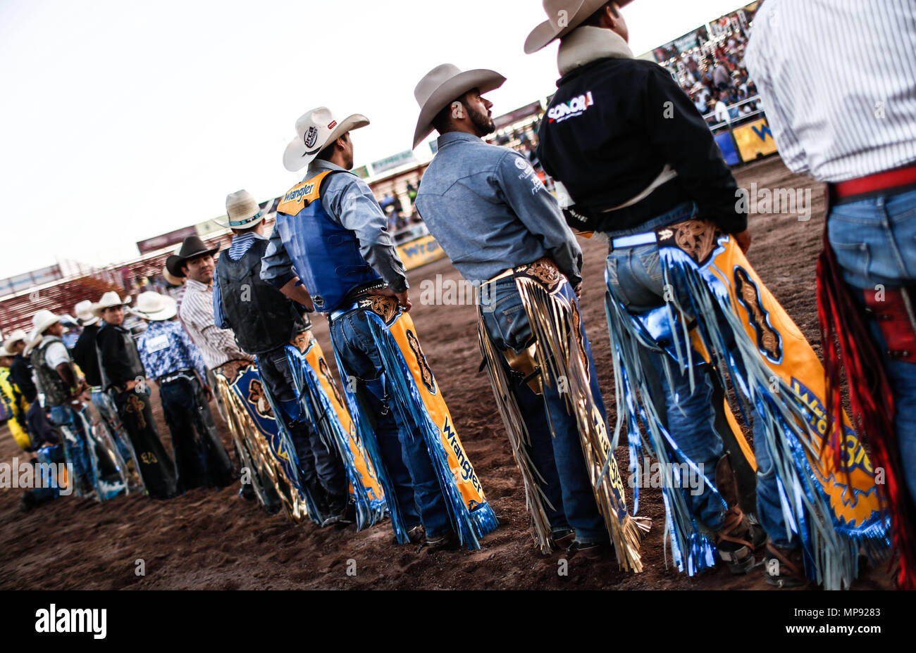 Rodeo Expogan. Detrás de la escena del deporte de vaqueros, jinetes y  Jineteo de toros, un circuito fuerte en Chihuahua, seguido por Sonora y  Baja California Mex. y los vecinos estados de