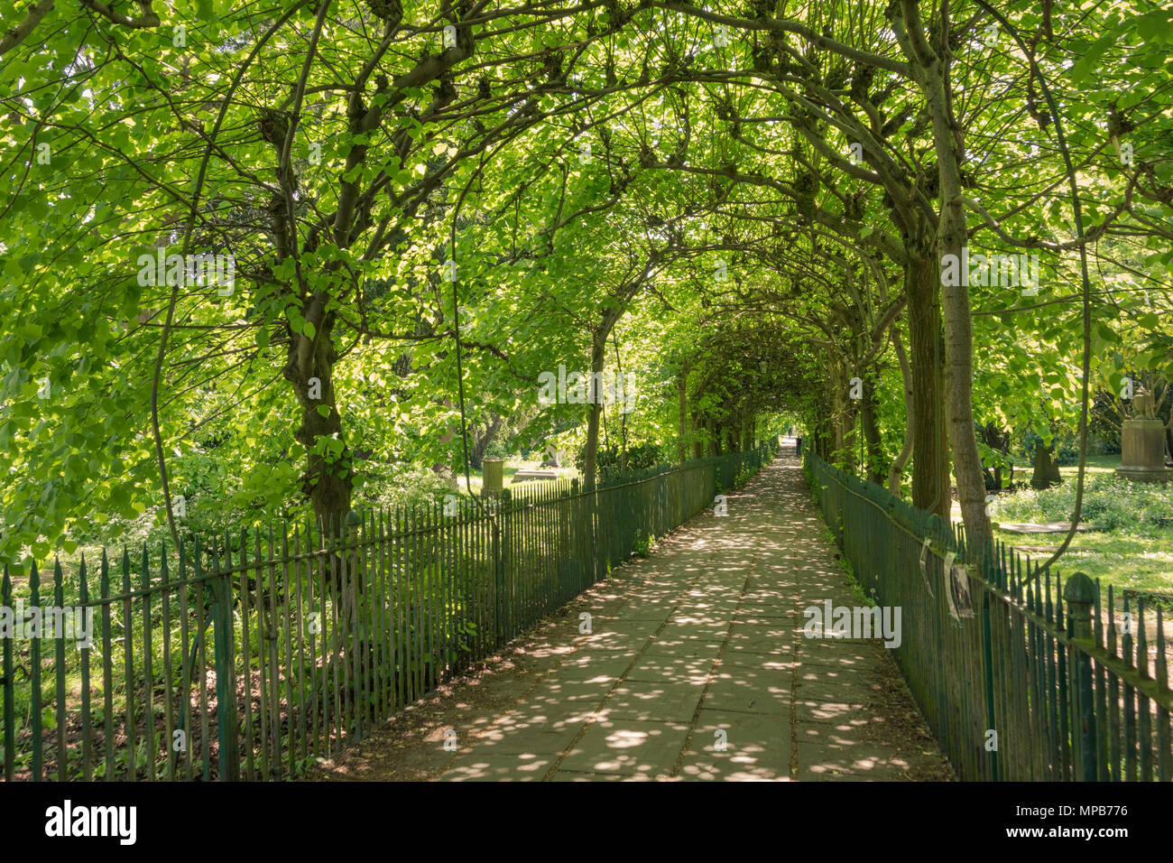 Caminar en forma de jaula, Clifton, Bristol Foto de stock