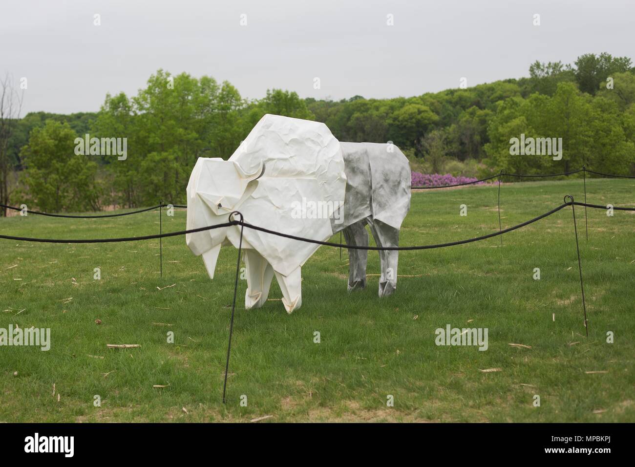 'Blanco' de bisonte, una escultura por Kevin cuadro, en la Minnesota Landscape Arboretum fuera de Minneapolis, en Chaska, Minnesota, USA. Foto de stock