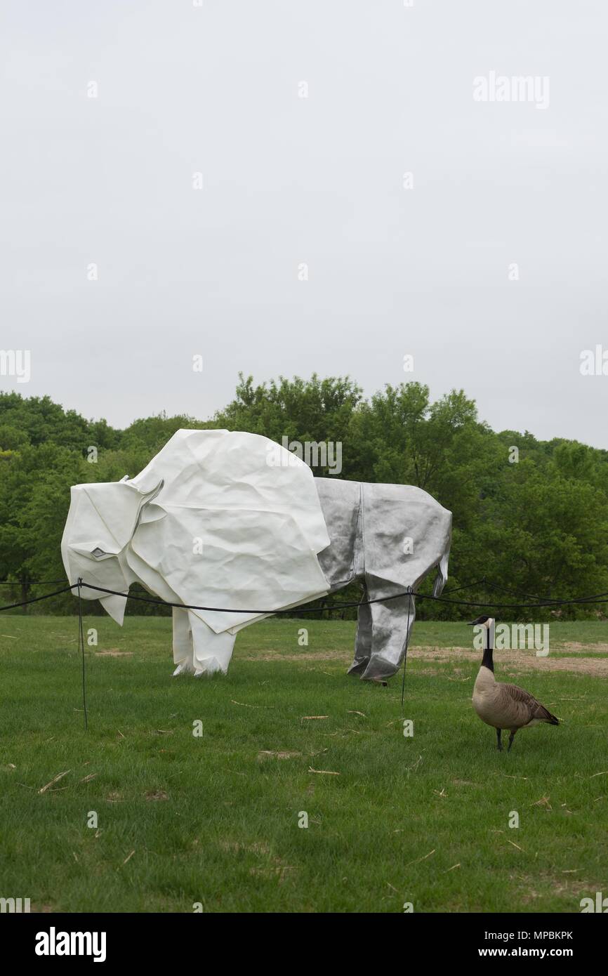 Un ganso de Canadá se encuentra en las inmediaciones de la escultura 'Blanco' de bisonte, por Kevin cuadro, en la Minnesota Landscape Arboretum en Chaska, Minnesota, USA. Foto de stock