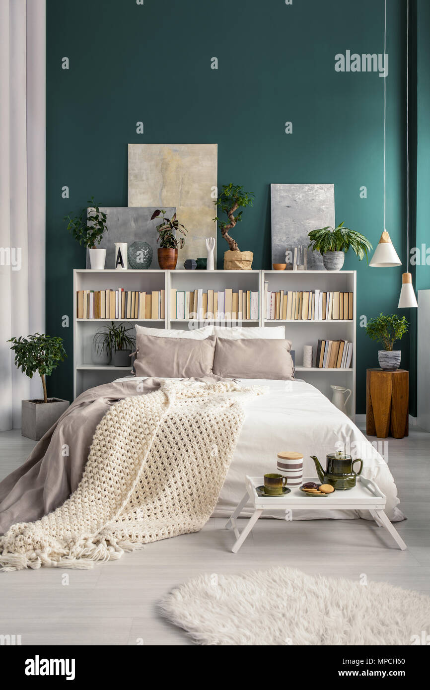Biblioteca en casa blanca con pintura gris y plantas en un ambiente natural  y espacioso interior del dormitorio con pared verde turquesa Fotografía de  stock - Alamy