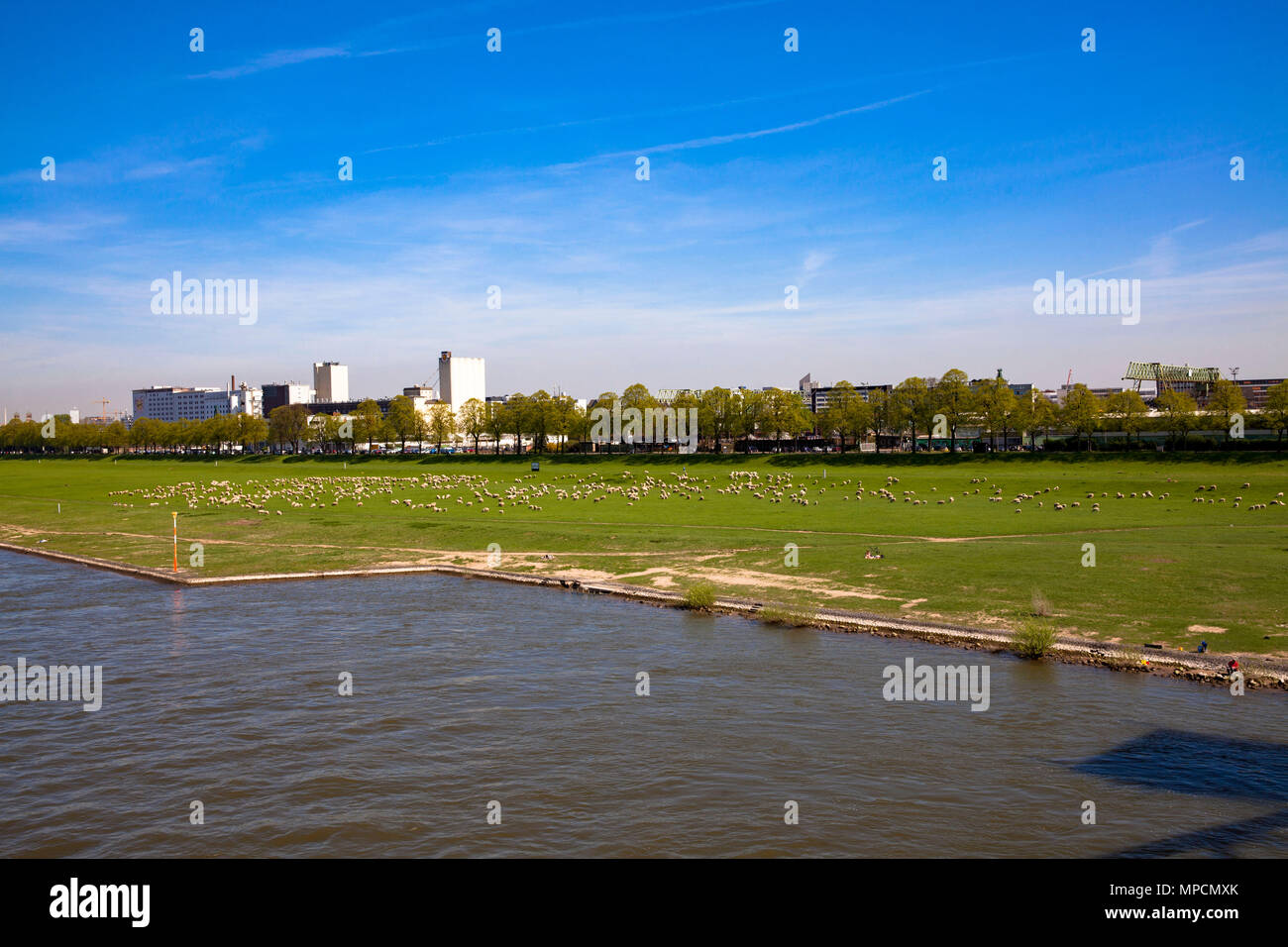 Alemania, Colonia, vistas al río Rin al puerto en el distrito de Deutz. Deutschland, Koeln, Blick ueber den Rhein zum Deutzer Hafen. Foto de stock