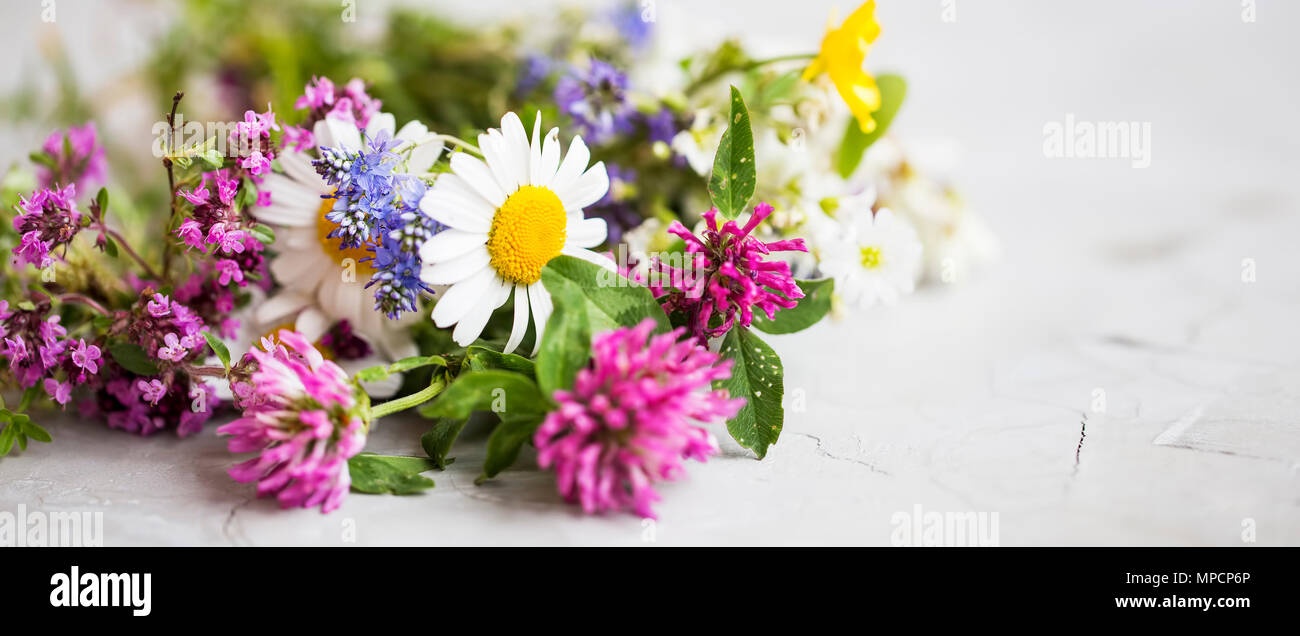 Hierbas curativas. Plantas medicinales y flores bouquet con menta,  manzanilla, tomillo, trébol, lino flores Fotografía de stock - Alamy