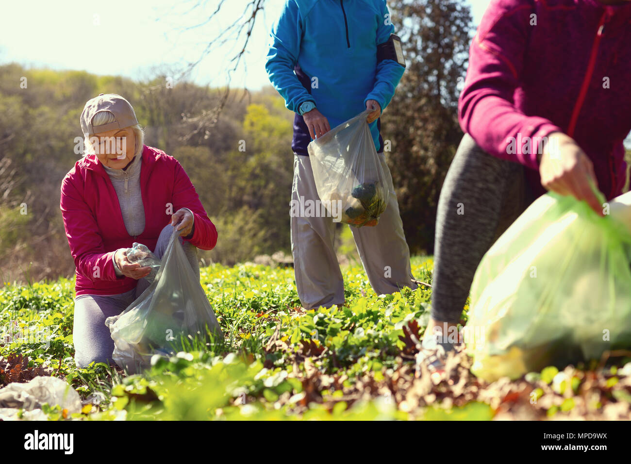 Gozoso encuentro voluntarios de hojarasca en el bosque Foto de stock