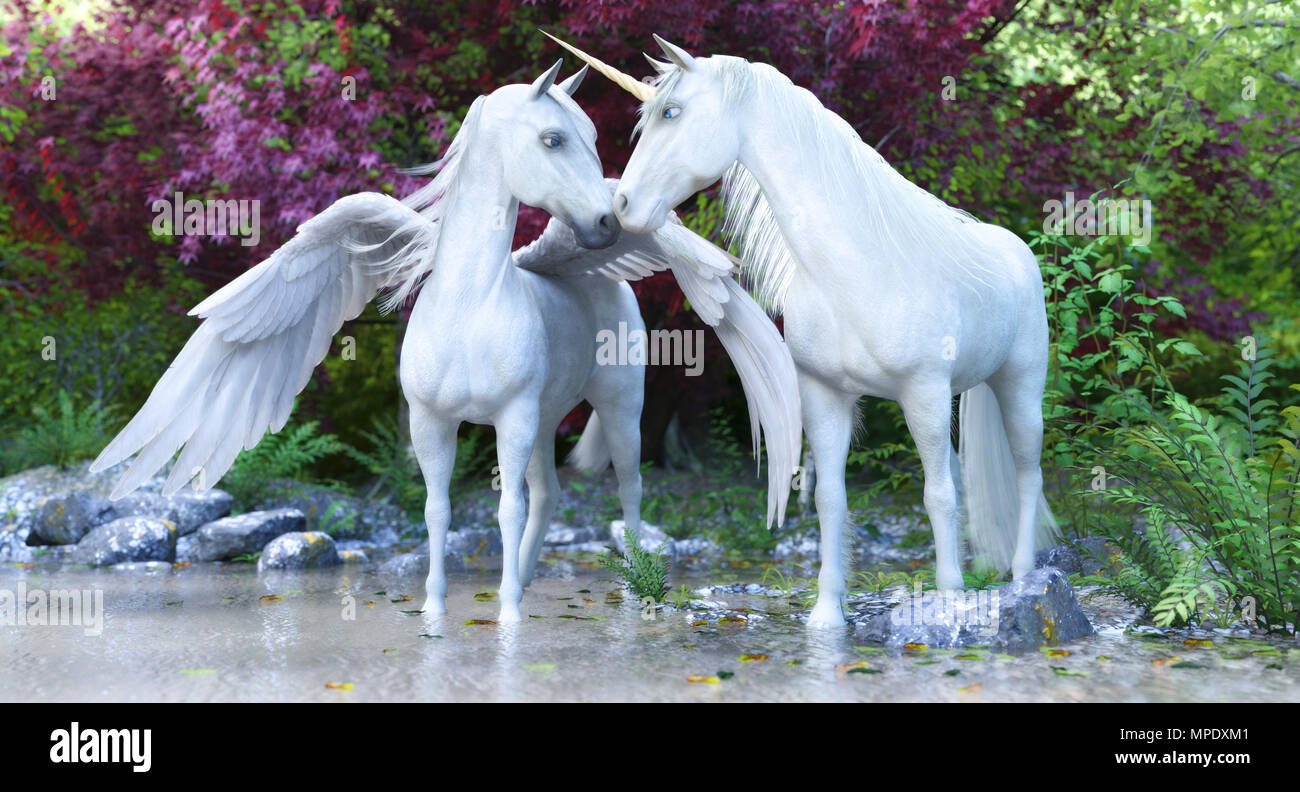 Unicornio blanco fotografías e imágenes de alta resolución - Alamy