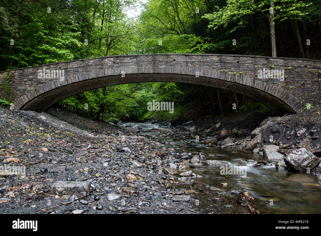 Cascadas y saltos en Dry Creek en Fillmore Glen Foto de stock