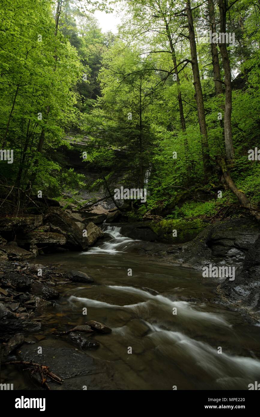 Cascadas y saltos en Dry Creek en Fillmore Glen Foto de stock