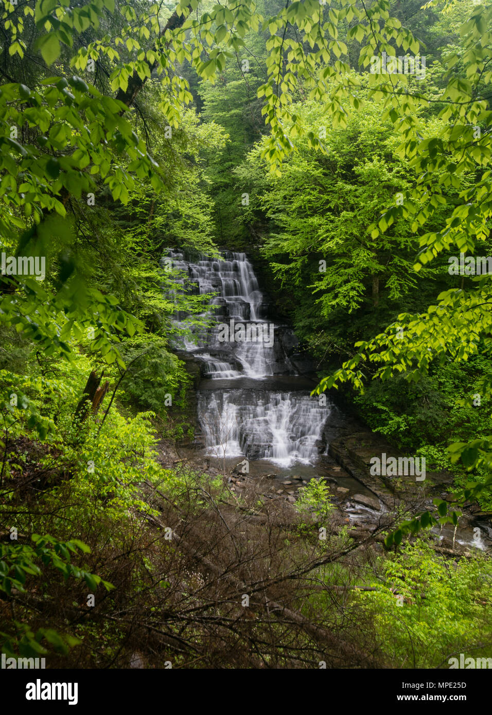 Cascadas y saltos en Dry Creek en Fillmore Glen Foto de stock