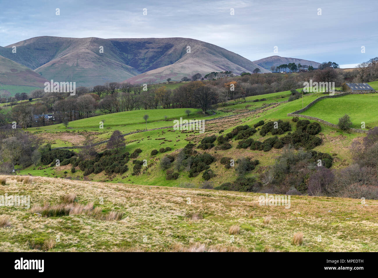 Páramos de Garsdale Howgill Inglaterra Yorkshire Dales, Inglaterra, Reino Unido, Europa. Foto de stock