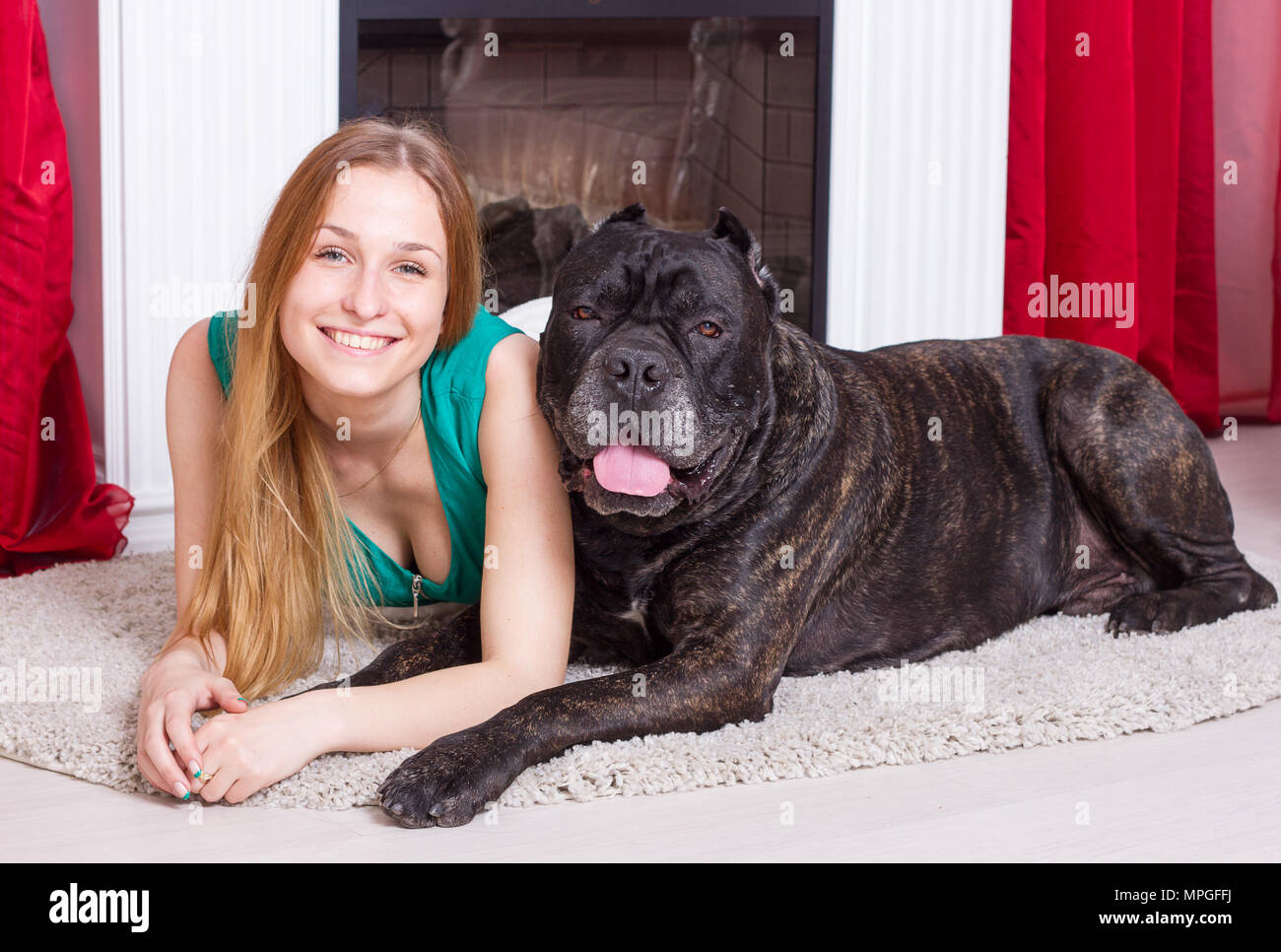 Niña está en casa con su gran perro Cane Corso Foto de stock