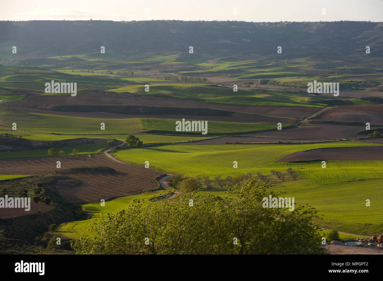 Hita, Guadalajara, España. Foto de stock