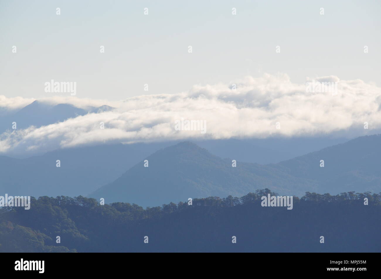 Nubes que cubren las crestas de las montañas de la Cordillera de campo durante las horas tempranas de la mañana visto desde el Monte Ulap durante nuestra caminata por el sendero ecológico. Foto de stock