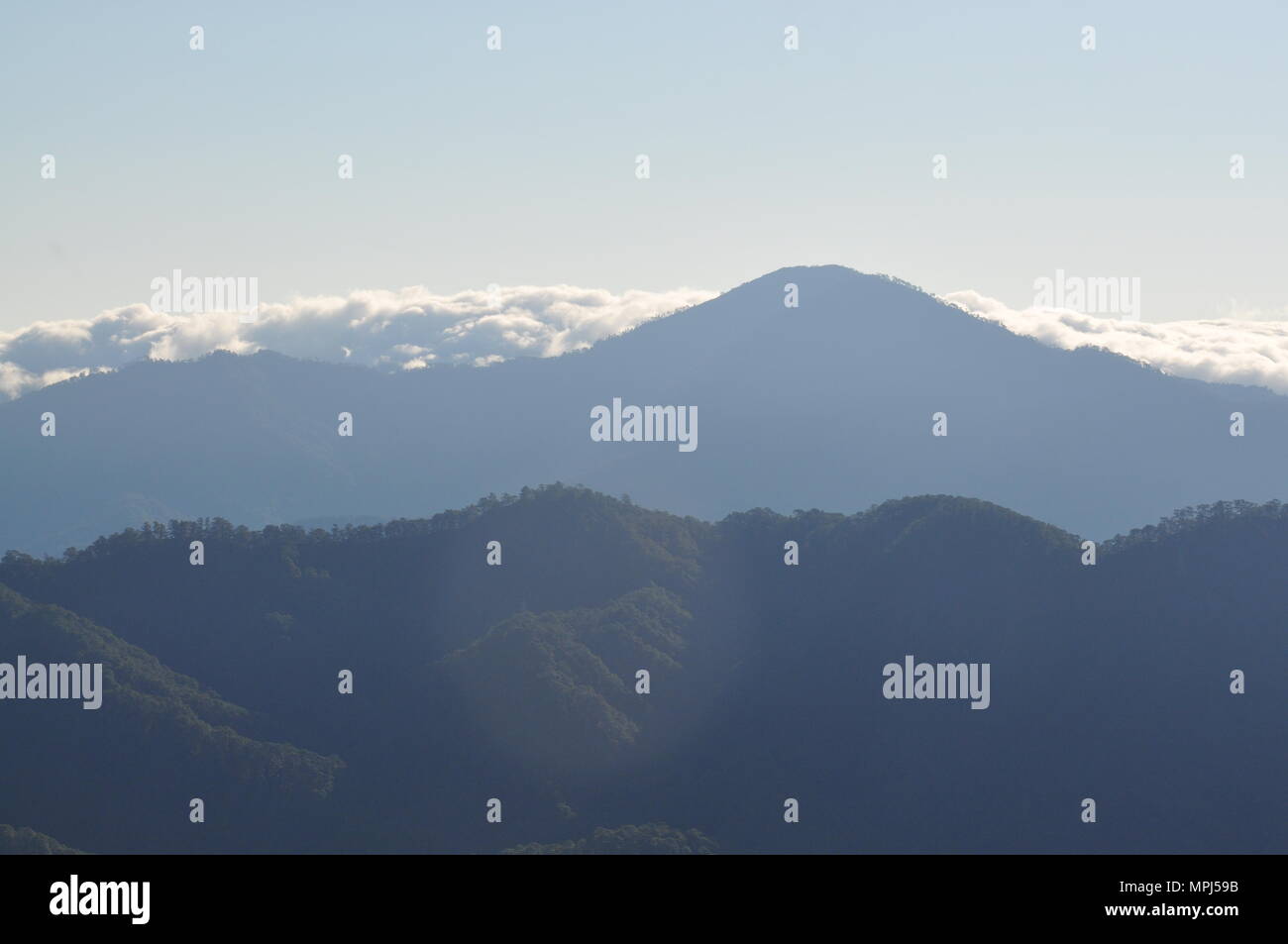 Nubes que cubren las crestas de las montañas de la Cordillera de campo durante las horas tempranas de la mañana visto desde el Monte Ulap durante nuestra caminata por el sendero ecológico. Foto de stock