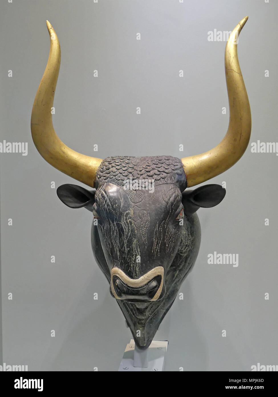 La cabeza de los toros fotografías e imágenes de alta resolución - Alamy