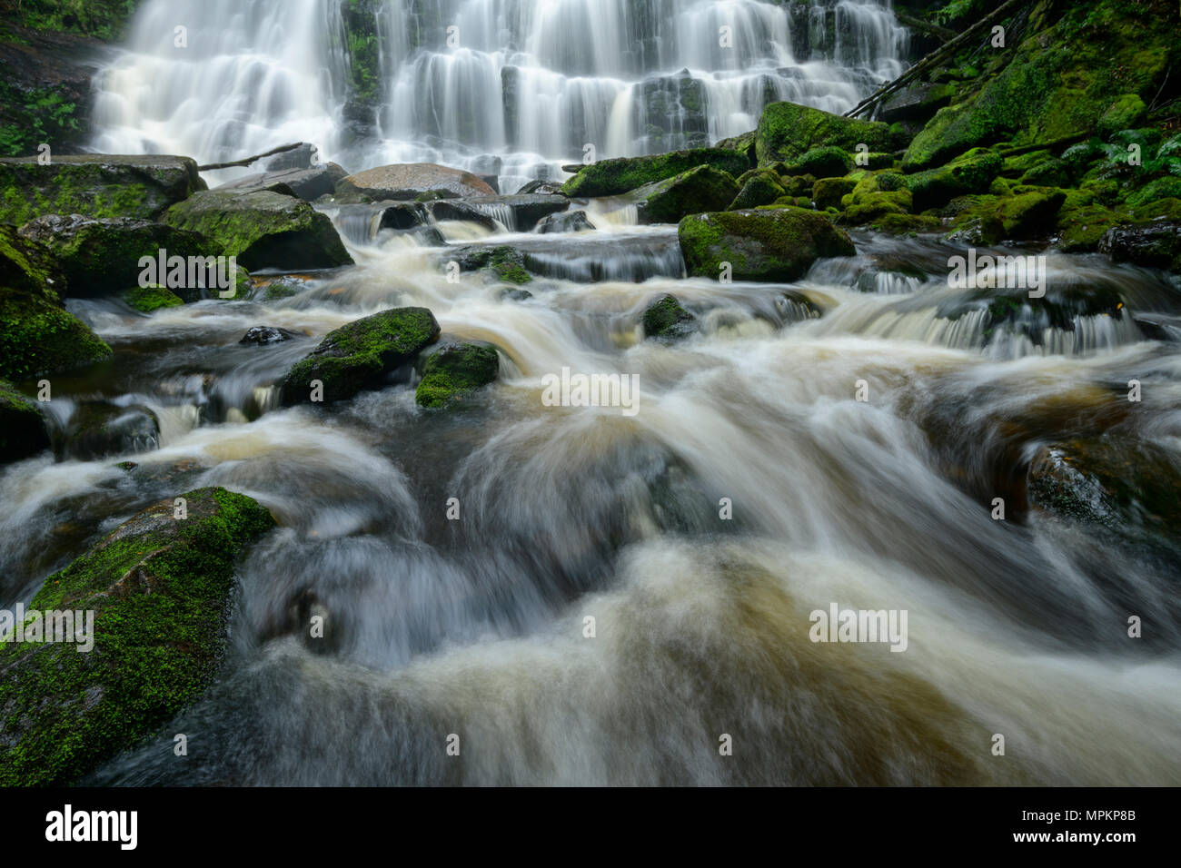 Australia, Tasmania; Parque Nacional Franklin-Gordon Wild Rivers; Nelson cae; UNESCO; Patrimonio de la humanidad. Foto de stock