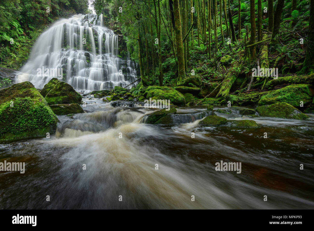 Australia, Tasmania, Parque Nacional Franklin-Gordon Wild Rivers, Nelson cae Foto de stock