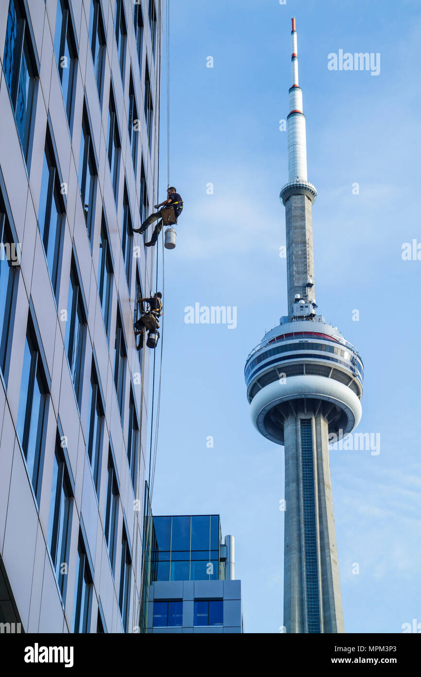 Toronto Canadá, King Street West, Metro Hall, lavadora, limpiador, rascacielos de gran altura edificios altura, trabajo peligroso, seguridad, cuerda Foto de stock