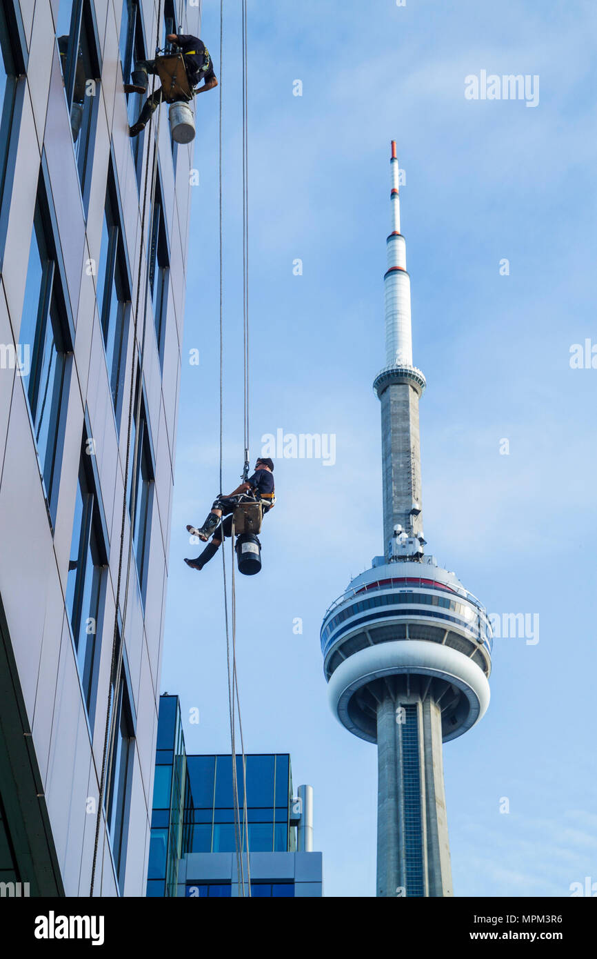 Toronto Canadá, King Street West, Metro Hall, lavadora, limpiador, rascacielos de gran altura edificios altura, trabajo peligroso, seguridad, cuerda Foto de stock