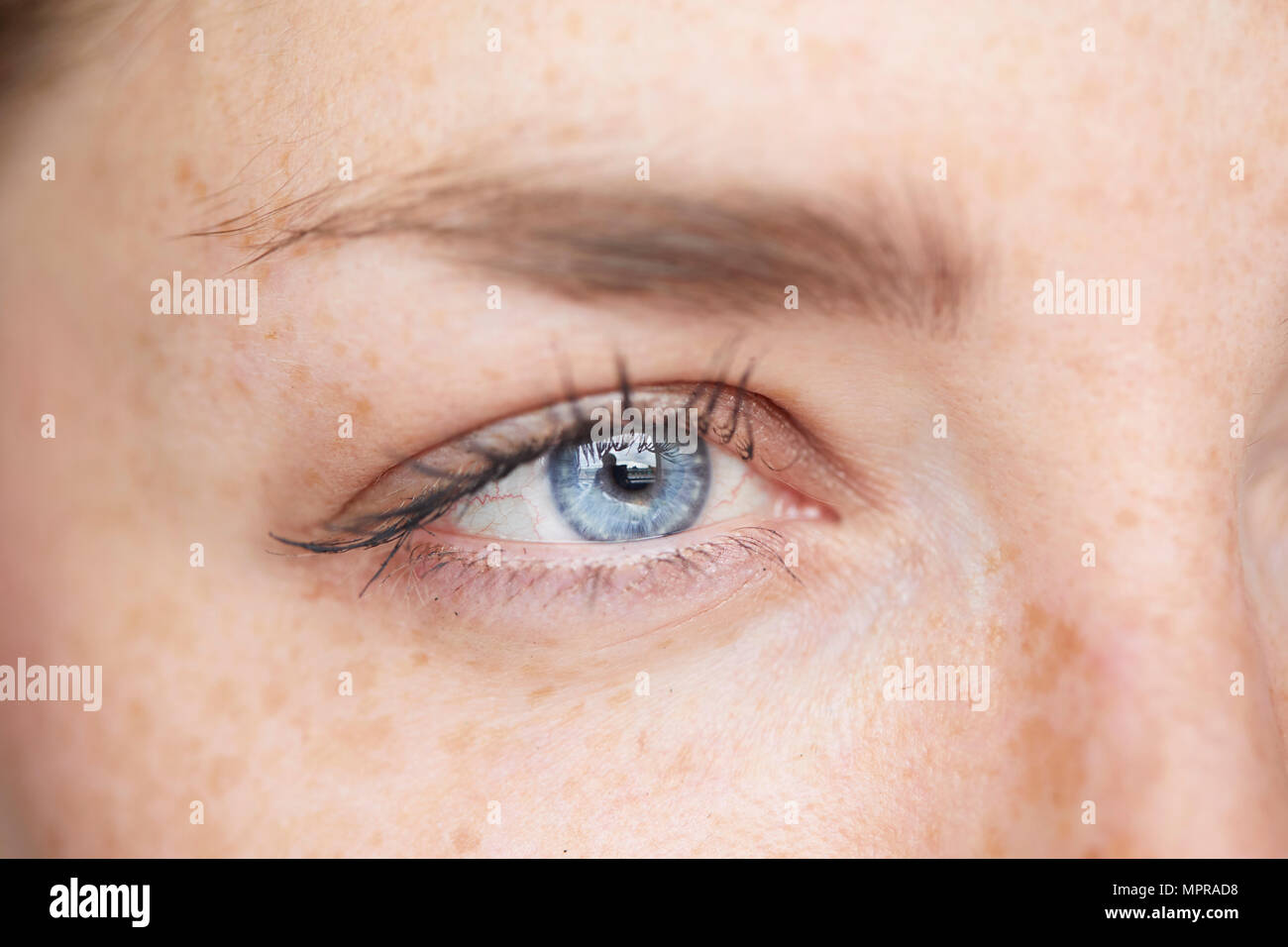 Woman's blue eye, close-up Foto de stock