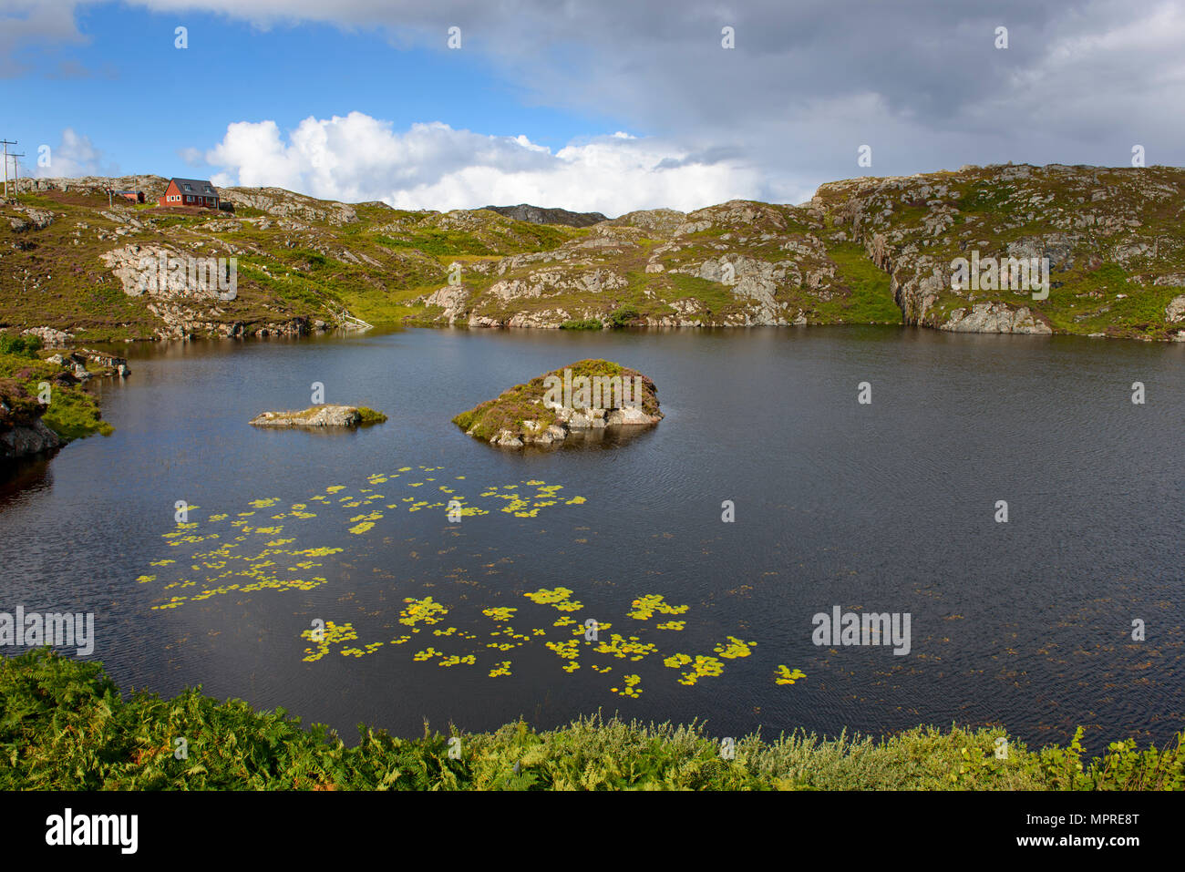 Reino Unido, Escocia, Sutherland, Assynt, Loch Maiden Foto de stock