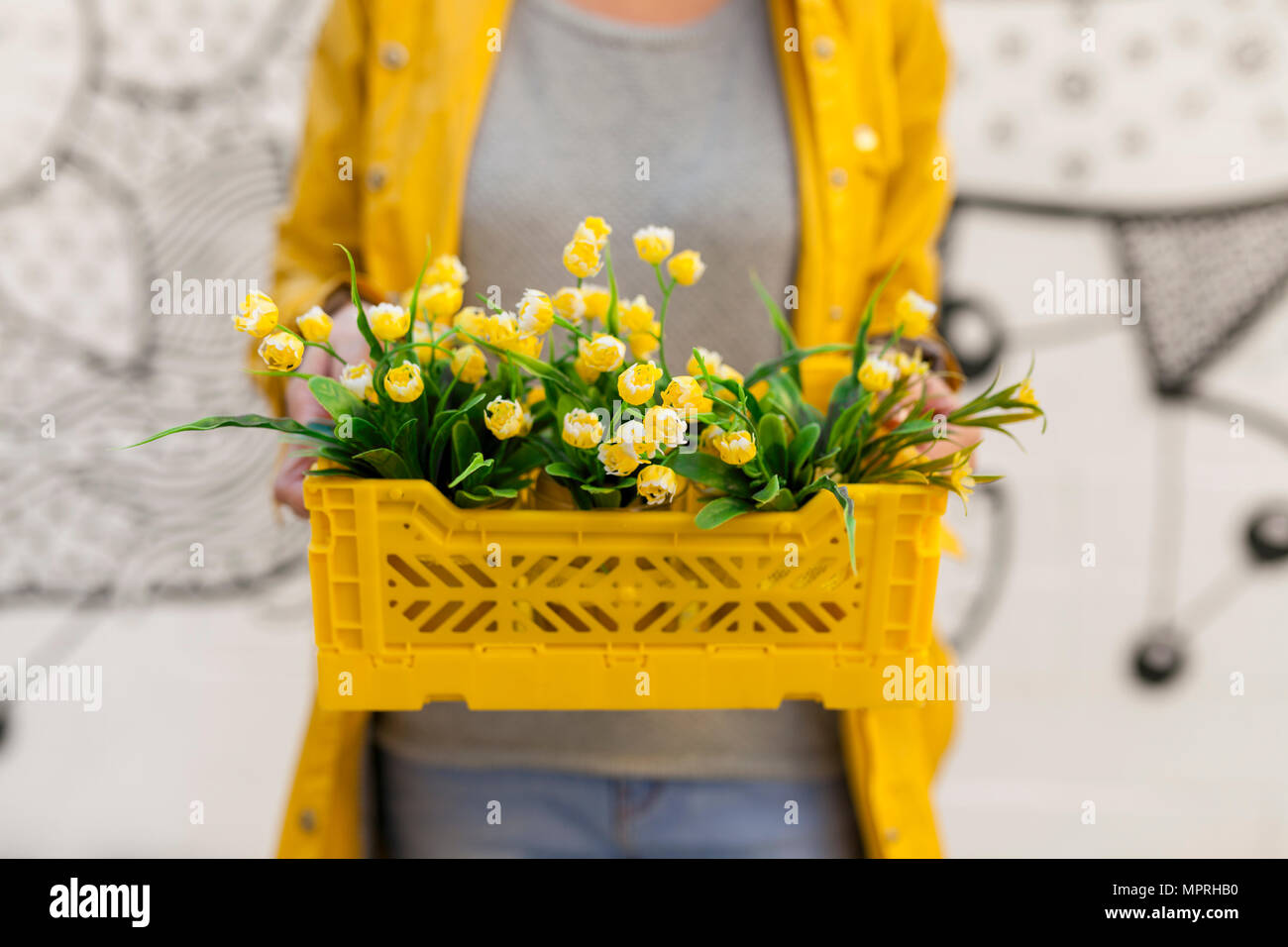 Close-up de mujer sosteniendo amarillo spring flower box Foto de stock