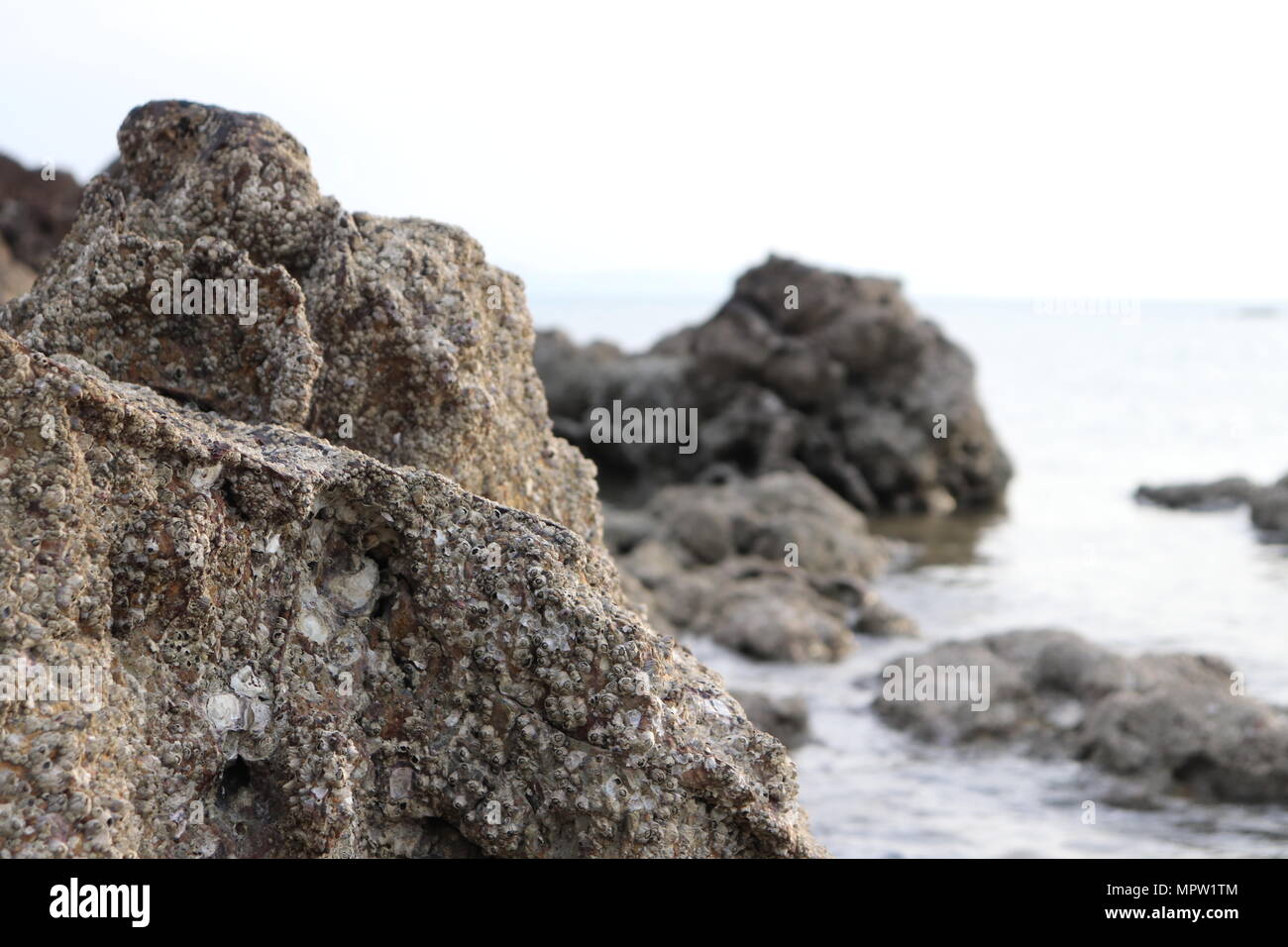 Un close-up de algunas rocas aleatorias en el sur de Tailandia Foto de stock