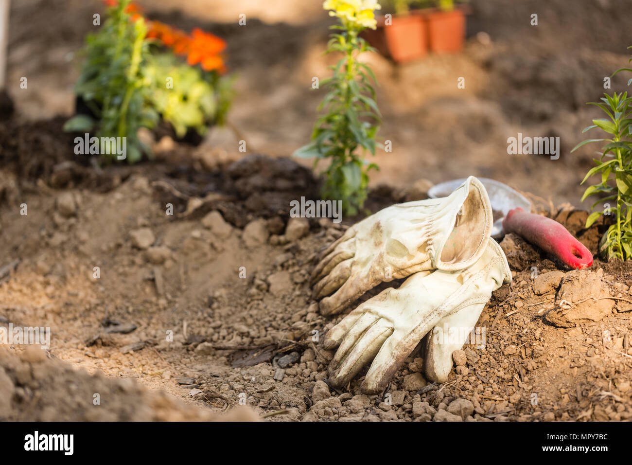 Un alto ángulo de visualización de guantes de jardinería con espátula en el campo en el jardín Foto de stock