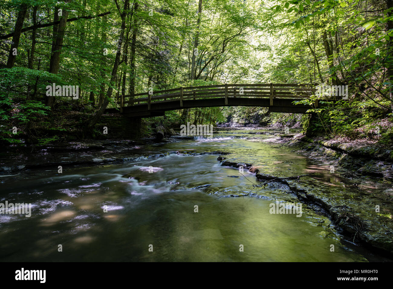 Cascadas y saltos en Dry Creek en Fillmore Glen Foto de stock