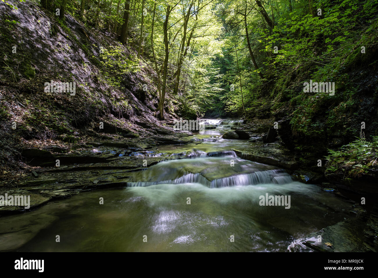 Cascadas y saltos en Dry Creek en Fillmore Glen Foto de stock
