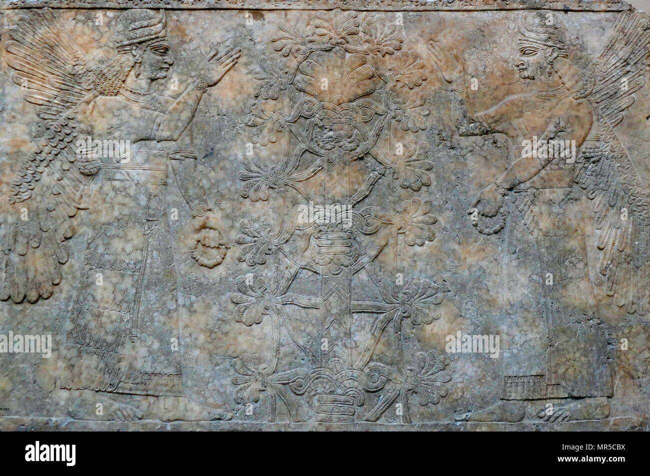 Espíritus protectores ajacent femenino a un árbol sagrado. Pared asirio socorro, alrededor de 865-860 A.C. de Nimrud, Palacio Noroeste Foto de stock