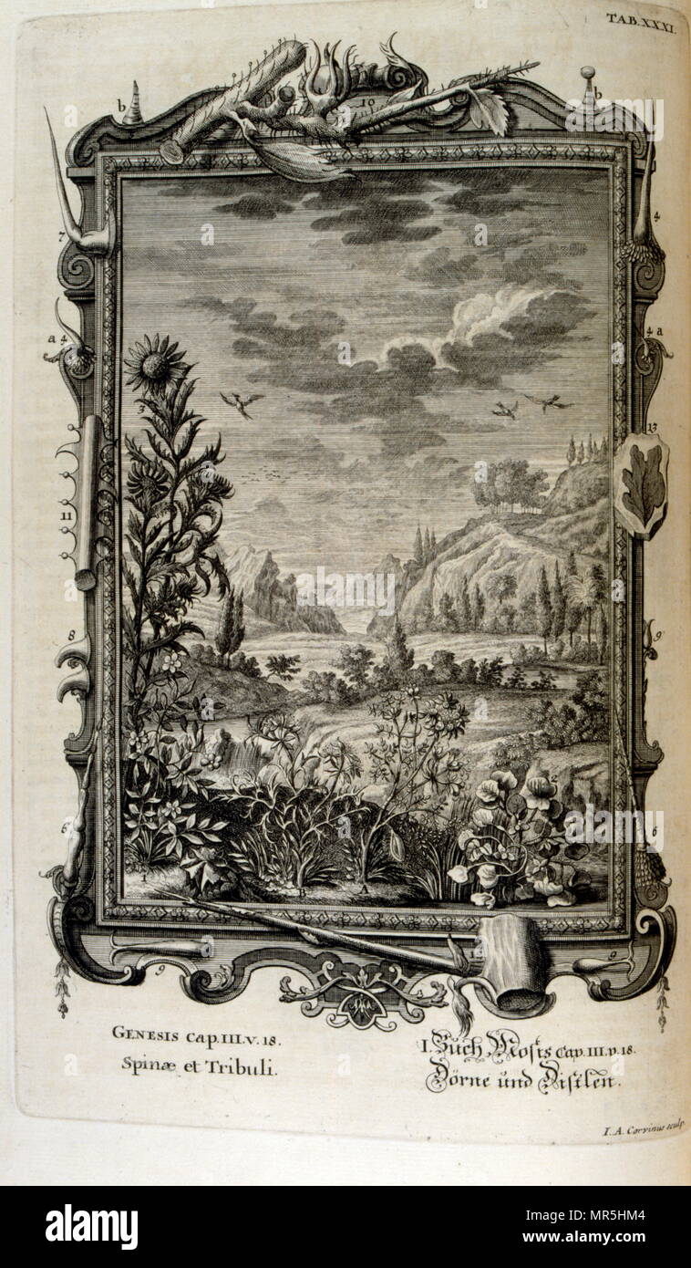 Copperplate grabado de "Physica Sacra" por el estudioso, suizo Johann Jakob Scheuchzer (1672 - 1733). Scheuchzer creía el Antiguo Testamento era una representación objetiva de la historia humana y la vida natural. Physica Sacra es una recopilación del arte, de la ciencia y la espiritualidad. Scheuchzer usa la Biblia como referencia para describir el mundo natural. Physica Sacra es también conocido como el Kupfer-Bibel que traduce a la "Biblia" de cobre los bocetos fueron realizados por Johann Melchior Fussli & un número de grabadores trabajó en la compilación. Publicado originalmente en 1731, incluye más de 700 grabados en placa de cobre Foto de stock