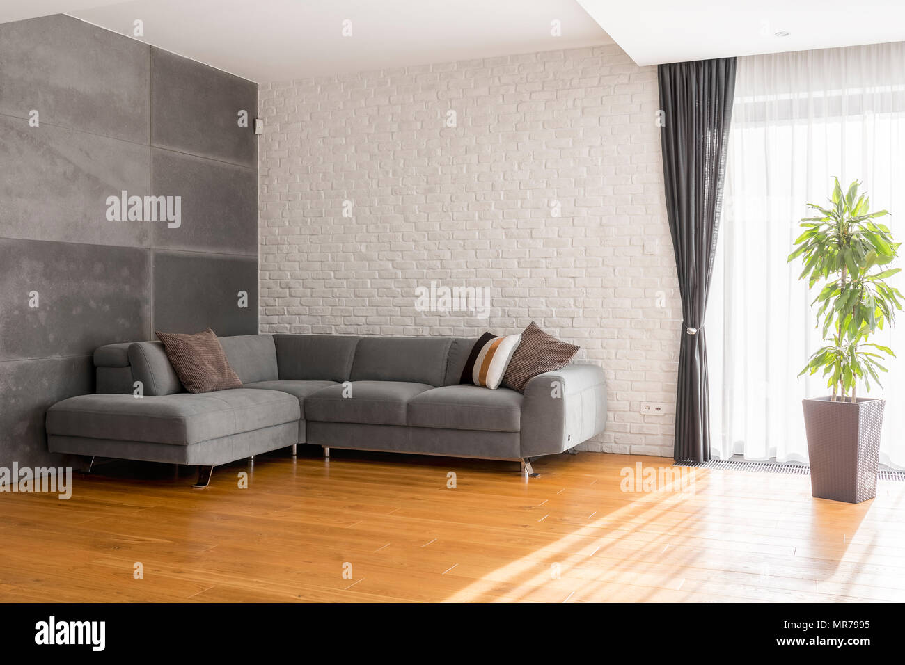 Gris, acogedora sala de estar con sofá, paneles de piso de madera, plantas  Fotografía de stock - Alamy