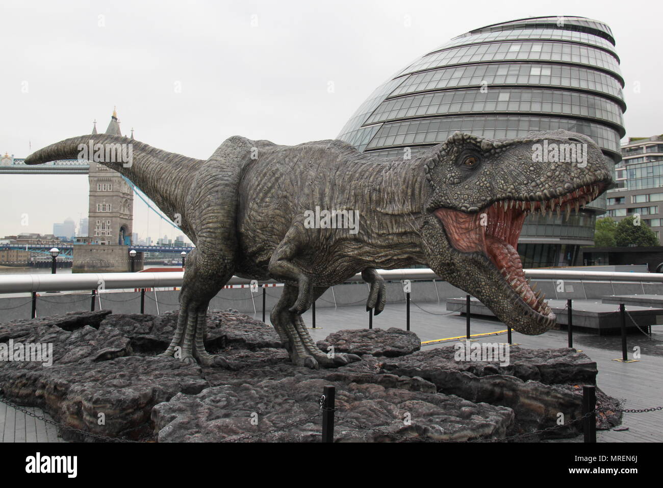 Señuelo Todavía por ejemplo Réplica de tamaño real de un Tiranosaurio Rex para promocionar el estreno  de la nueva película Jurassic mundo: Reino caído en Londres, Inglaterra,  Reino Unido, Peter Grant Fotografía de stock - Alamy