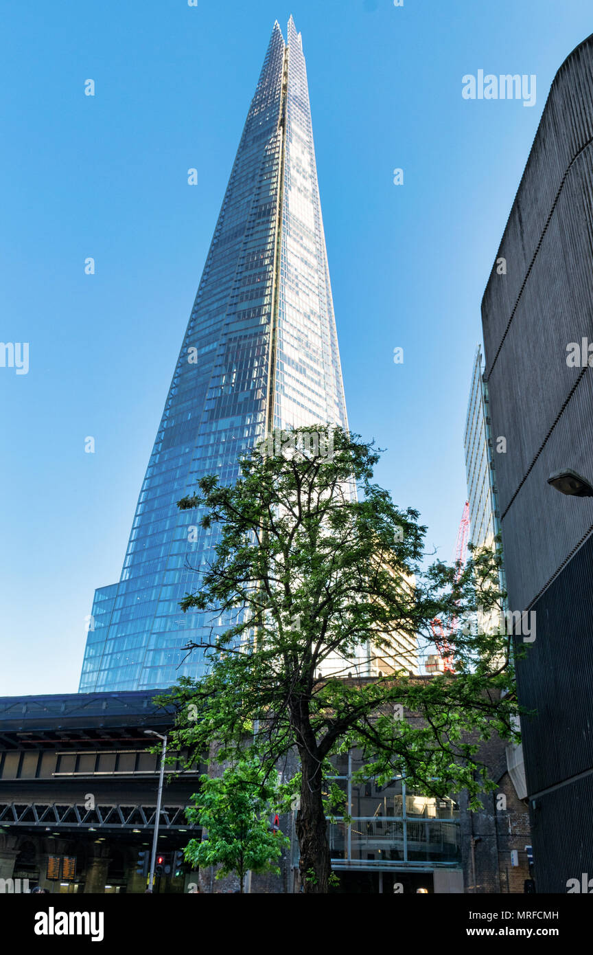 Esta imagen de un árbol en la parte delantera de la London Shard representa la naturaleza vs modernización Foto de stock