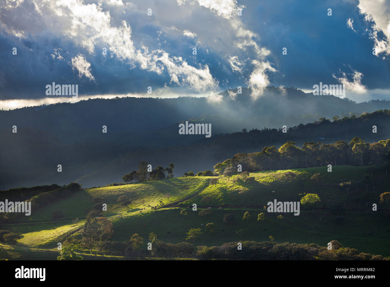Paisaje de Panamá con luz de la tarde en los campos de pastos y colinas boscosas cerca de la ciudad Volcan, provincia de Chiriquí, República de Panamá. Foto de stock