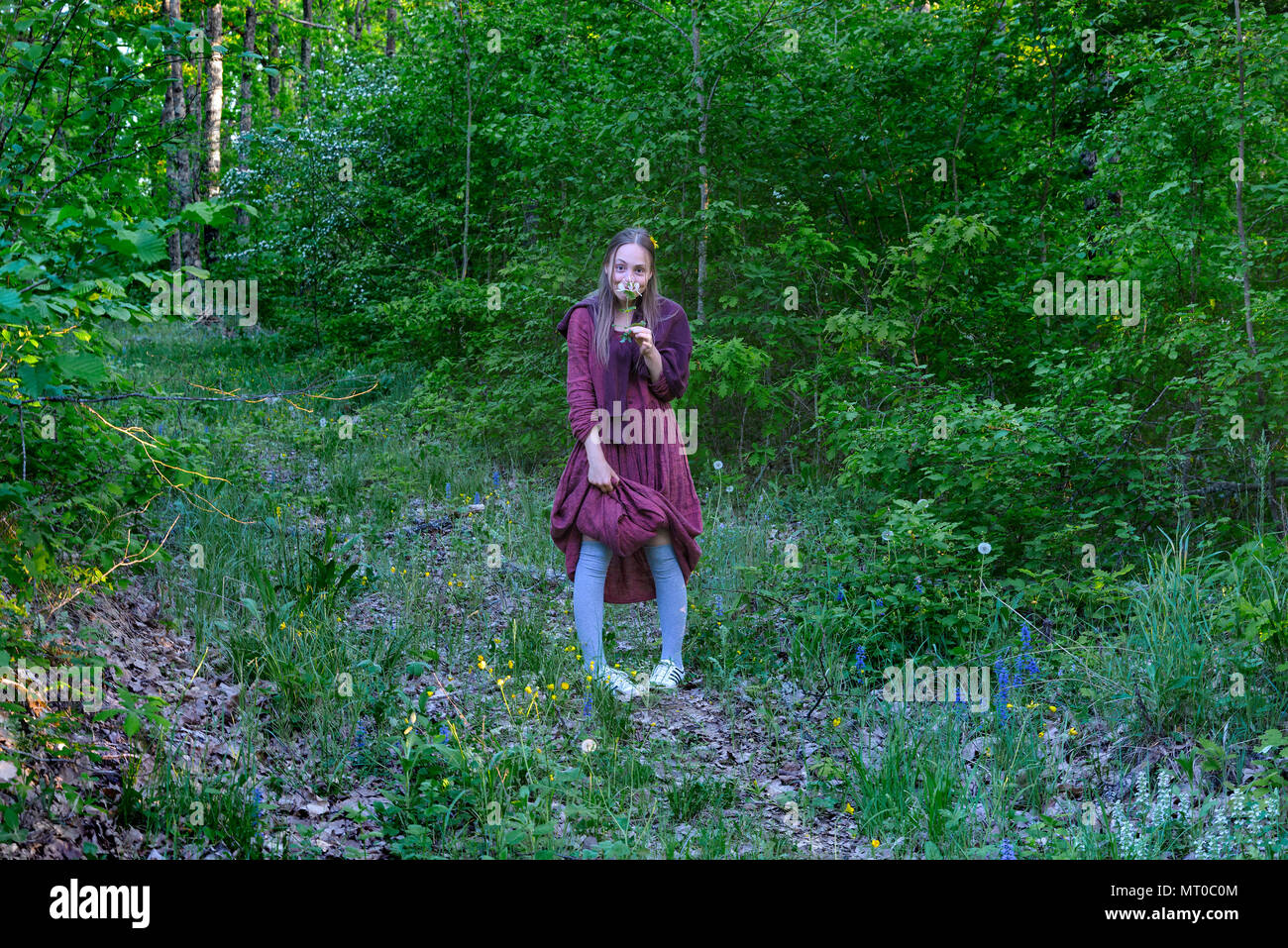 Chica en el borde del bosque huele la Flor Madreselva Foto de stock