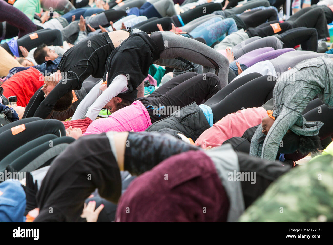 Decenas de personas hacen el arco ascendente plantean a medida que toman parte en una gran grupo de clase de yoga en el parque Piedmont el 8 de abril de 2018, en Atlanta, GA. Foto de stock