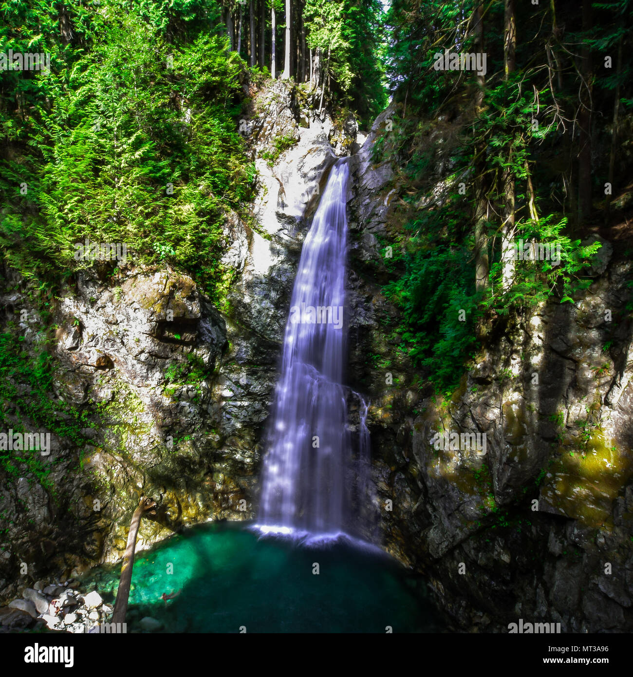 Persiguiendo cascadas en Cascade Falls, Parque Regional, misión, BC, Canadá Foto de stock