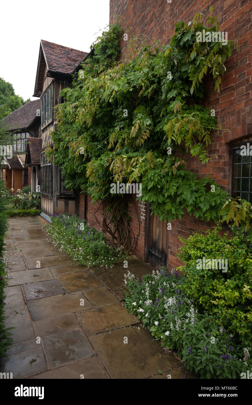Arreglos de plantas en el viejo edificio de paredes de Stratford upon Avon, Inglaterra, Reino Unido. Foto de stock