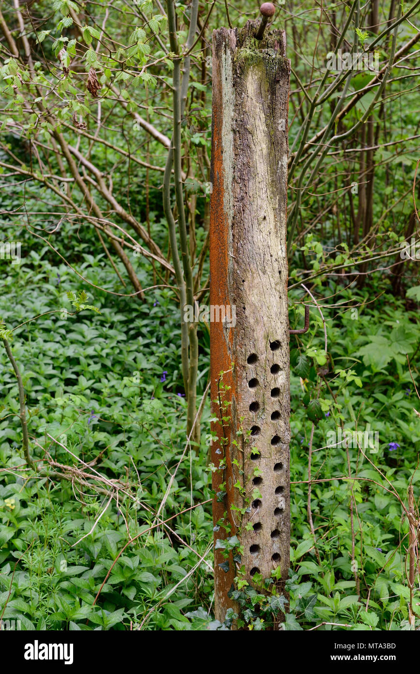 Un poste de madera con una disposición de los agujeros taladrados  Fotografía de stock - Alamy