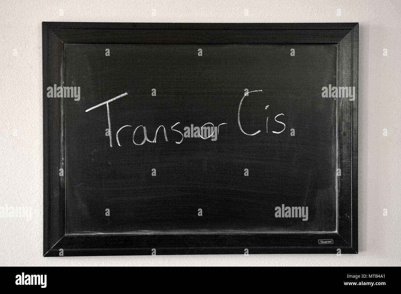 Trans o Cis escrito en un blanco tiza en una pizarra en la pared Foto de stock