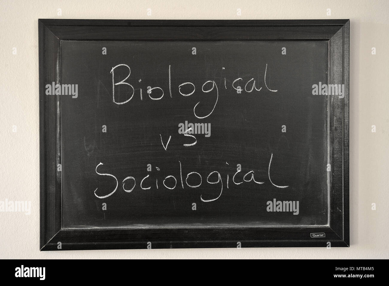 Vs biológica sociológico escrito en un blanco tiza en una pizarra en la pared Foto de stock