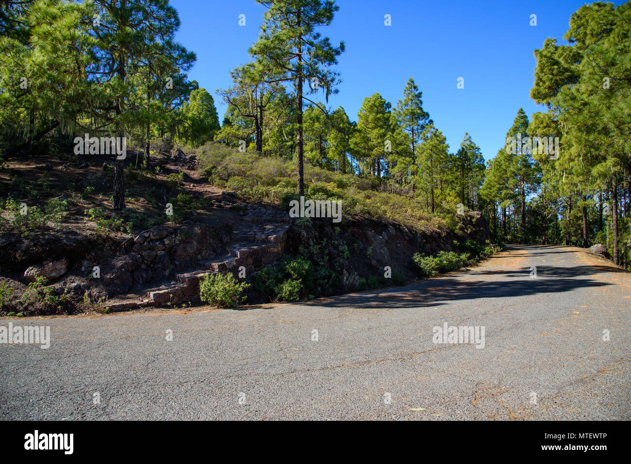 Parque natural tamadaba fotografías e imágenes de alta resolución - Alamy