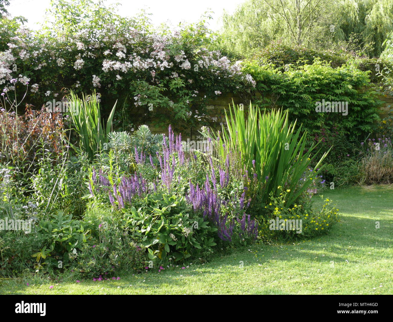 Colorido jardín de campo inglés, en verano Foto de stock