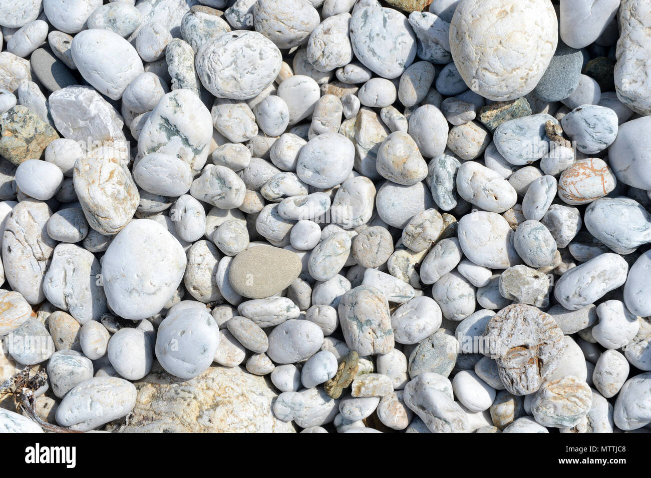 Piedras de cuarzo blanco guijarros en una playa limpia y nítida Foto de stock